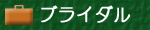 �u���C�_��