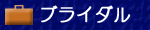 �u���C�_��
